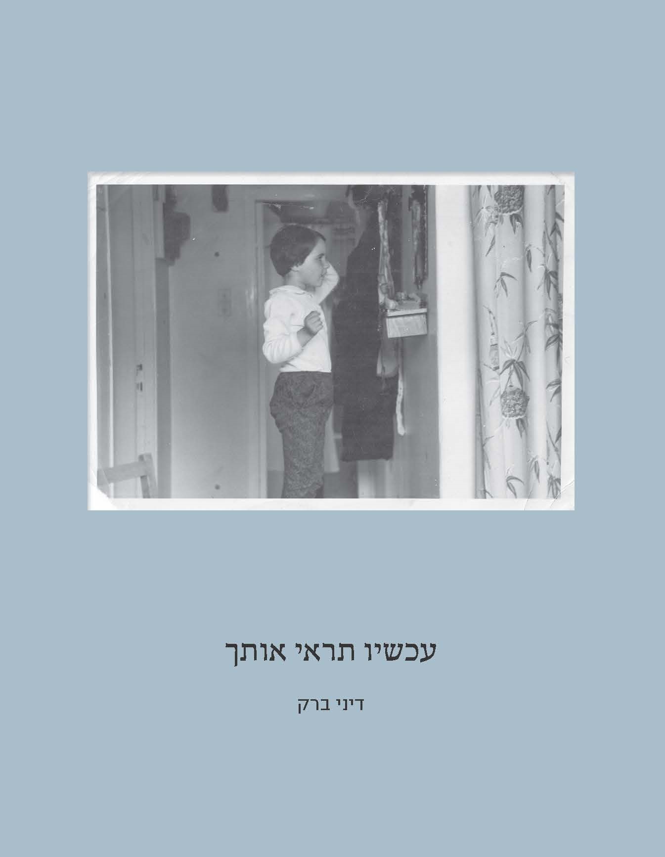 "עכשיו תראי אותך" ספר שירה – תמונה 3